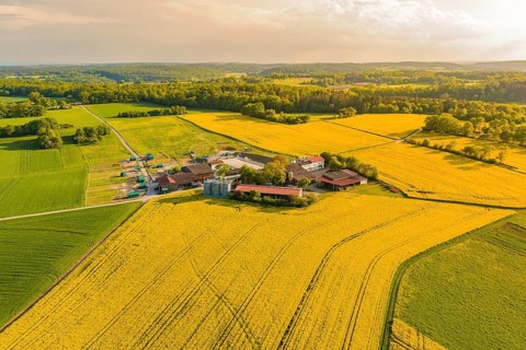 View of a farm surrounded by yellow and green fields under a wide sky, Gechingen, Hecken and Gäu