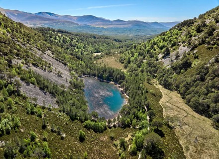 Drone photo of the highlands with lake in the Glenmore Forest Park, part of Cairn Gorms National