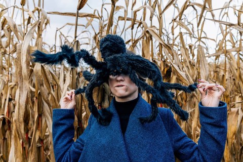 Huge black toy spider on a woman's head in a cornfield during a Halloween party in a cornfield