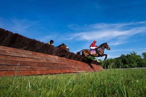 WROCLAW, POLAND - MAY 10, 2026: Horse race track WTWK Partynice. International steeplechase for