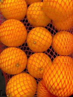 Oranges (Citrus sinensis) oranges fruit in plastic net bag plastic net in display of grocery store