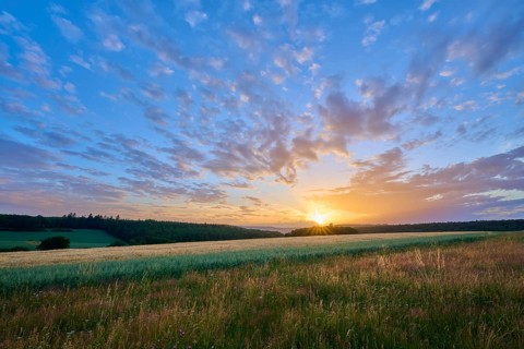 The sunset bathes the sky over a wide field in warm shades of orange, clouds gently pass by,