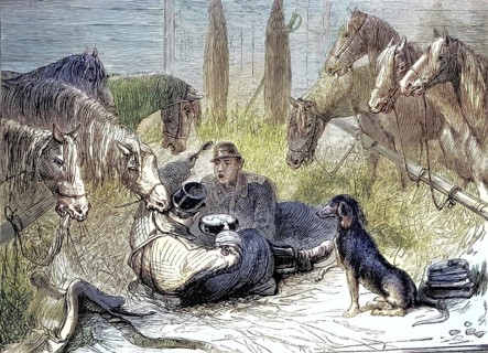 Russo-Ottoman War (1877–1878), Transport of Russian cavalry horses, illustration, reproduction of a