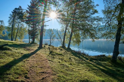 Sunbeams through trees, picturesque path along a quiet lake, Windgfällweiher, Lenzkirch, Black