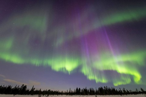 Northern Lights (Aurora borealis), Muddus National Park, Laponia World Heritage Site, Norrbotten,