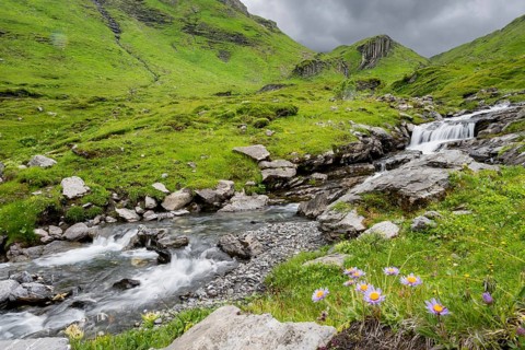 Bergbach Sousbach flows through picturesque green mountain landscape with flower meadow, long