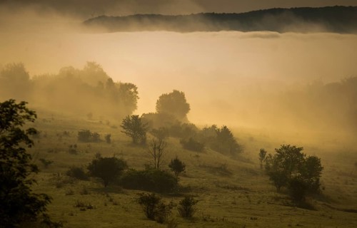 Germany, Nabu, natural heritage, Thuringia, wind knobs, cultivated landscape, haze, cultural