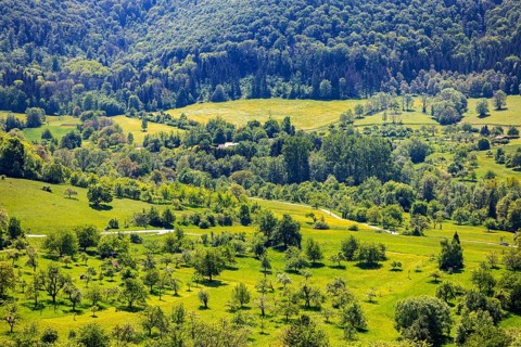 Spring in the Swabian Jura. Orchards on the Albtrauf near Neuffen. Neuffen, Baden-Württemberg,