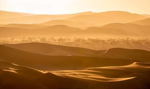 Back light, silhouettes in the desert, Namib sand dunes, Namib Desert, Namib-Naukluft National