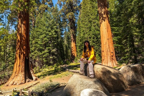 Young woman sitting on a rock, experiencing the vast forest while visiting sequoia national park,