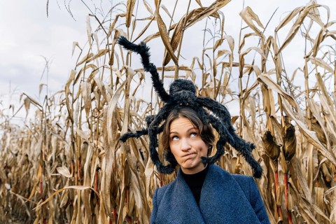 A woman with a distorted face and a toy of a furry large spider on her head. Concept of decorations