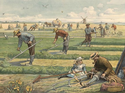 Mowing and haying, traditional, pre-industrial handwork during haymaking around 1900. The men in