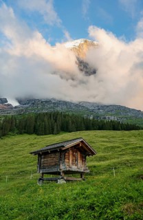 Alpine huts and alpine meadows, mountain landscape at sunset, Alpiglen, Grindelwald, Bernese