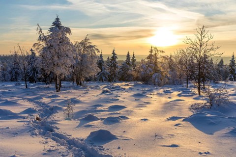 Winter landscape with snow-covered trees and branches covered with hoarfrost on the