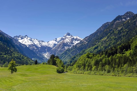 Spring meadow in the Trettach Valley, near Oberstdorf, behind it the Trettachspitze, 2595m, Allgäu