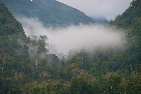 Clouds, fog in mountain rain forest near the village of Muang Ngoi on the Nam Ou River, Phongsali