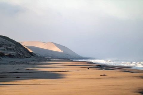 Atlantic coast, sandy beach and sand dunes, desert landscape and sea, Namib Naukluft Park, Namib