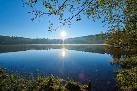 A bright sunrise is reflected in a still, peaceful lake, Windgfällweiher, Lenzkirch, Black Forest,