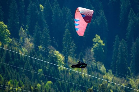 A paraglider flies over a wooded slope, risk of falling, ropes of a cable car, Schwangau,