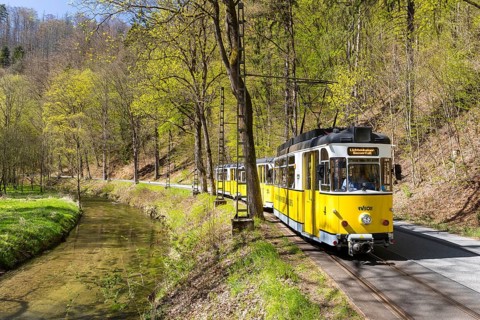 Kirnitzsch Valley Railway, historic tram in the Kirnitzsch Valley, Bad Schandau, Saxon Switzerland,