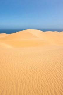 Sand dunes with wave patterns, dune sea, sandy desert, impressive desert landscape, Namib Naukluft