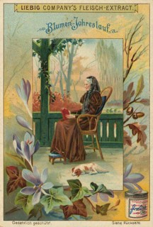 Series of pictures Flowery Season, An elderly lady sits reading on a wooden veranda, at her feet a
