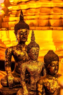 Gilded Buddha statues, Buddhist temple complex Wat Phra That Si Chom Thong, near Chiang Mai, Chiang