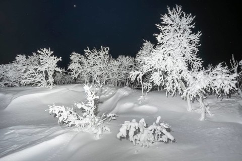 Deep snow-covered winter landscape at night, Dundret Nature Reserve, Gällivare, Norrbotten,