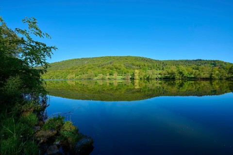Tranquil landscape with a river reflecting the surrounding green vegetation and blue sky, Main,