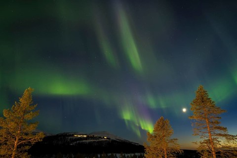 Northern Lights (Aurora borealis), Dundret, Gällivare, Norrbotten, Lapland, Sweden, April 2021