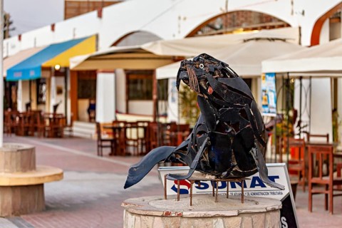 Metal sculpture of a sea lion in front of a street café on a sunny day, statue on the beach