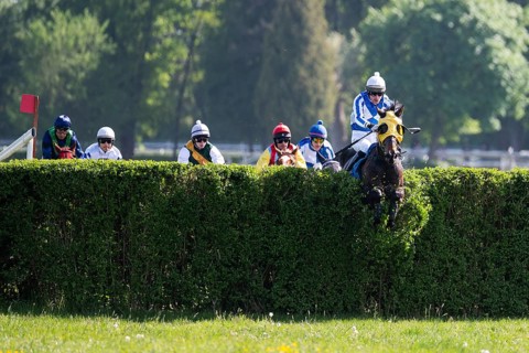 WROCLAW, POLAND - MAY 10, 2026: Horse race track WTWK Partynice. International steeplechase for
