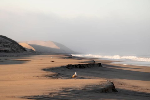 Waves burn on the Atlantic coast, sandy beach in the Namib Desert, desert landscape, Namib Naukluft