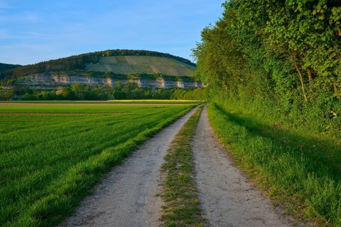 A dirt road along green trees leads to rolling hills in the background, Karlburg, Karlstadt,