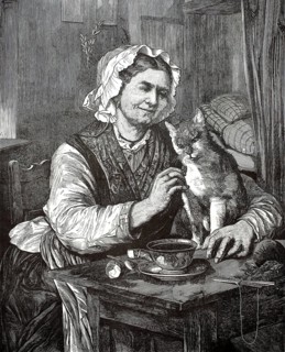 A happy smiling woman in traditional clothing and bonnet crawls or feeds a cat sitting on the table