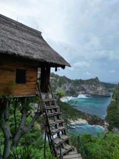 A tree house with thatched roof and wooden ladder surrounded by cliffs and a rough sea under a