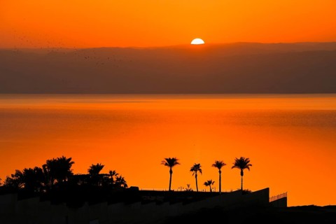 Dead Sea Jordan sunset vertical timelapse with orange glow, calm water reflection, palm