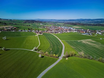Blooming fruit trees behind the village, Auw, Freiamt, Canton Aargau, Switzerland