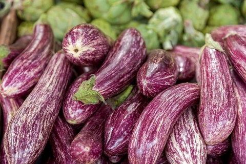 Striped purple eggplants lie on a green background, look fresh and ready for the market, Sineu,