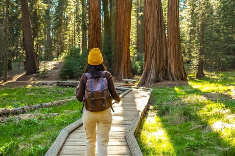 Woman with a backpack and yellow beanie hat walking along a wooden boardwalk, exploring a vibrant