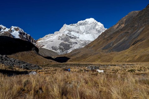 Camp in front of Nevado Santa Cruz northeast wall, 6259 m, Cordilera Blanca, Huascaran National