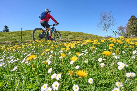Pretty mid age woman riding her electric mountain bike in springtime, Allgaeu, Oberstaufen,