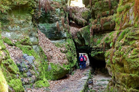 Uttewalder natural arch, hiking in Uttewalder Grund, rocky valley near Lohmen, gorge, rock