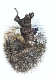 Distinctive trees, natural monument, 19th century illustration depicting the famous monkey tree, in