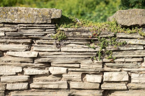 Cultivated landscape, dry-stone wall, cultural landscape, stone wall, dry stone wall
