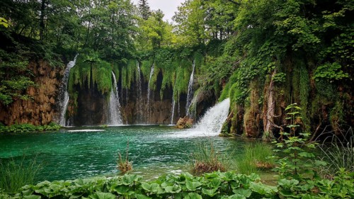 Several waterfalls plunge into a green lake surrounded by thick, lush vegetation and rocks,