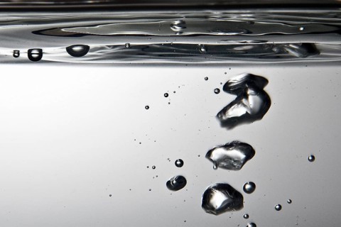 Air bubbles rise to the water surface