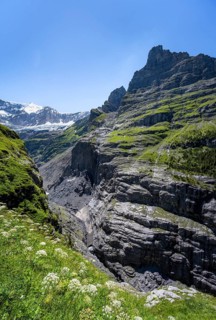 Rocky gorge with waterfall, mountain landscape with Grindelwald-Fiescherfirn glacier, Bernese Alps,