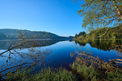 Lake with a clear reflection of the surrounding forests under a clear blue sky, Windgfällweiher,