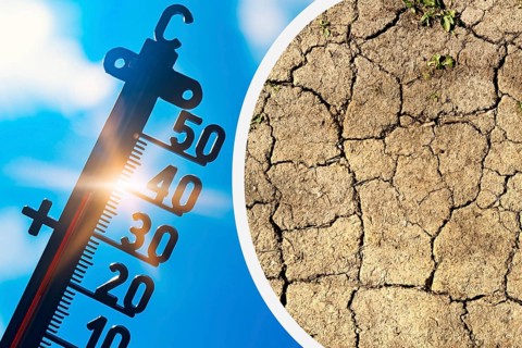 Thermometer against bright sun and dry soil, symbolic photo heat wave, photo montage +++ editorial